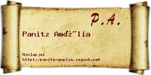 Panitz Amélia névjegykártya